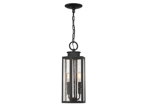 Hawthorne 2-Light Outdoor Hanging Lantern in Black