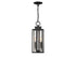 Hawthorne 2-Light Outdoor Hanging Lantern in Black