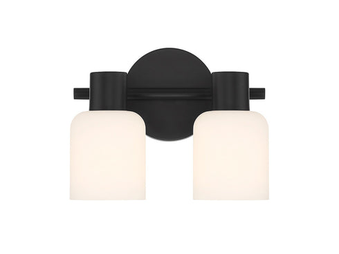 Strand 2-Light Bathroom Vanity Light in Matte Black