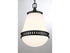 Endura 1-Light Pendant in Satin Nickel