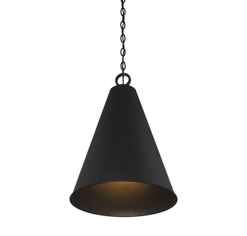 1-Light Pendant in Matte Black