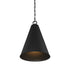 1-Light Pendant in Matte Black