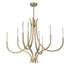 Bradford 8-Light Chandelier in Noble Brass