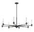 Jasmine 8-Light Chandelier in Matte Black
