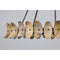 Monarch 8-Light Chandelier in Champagne Mist with Coconut Shell by Breegan Jane