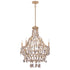 Leanne 6-Light Chandelier in Chandon by Breegan Jane