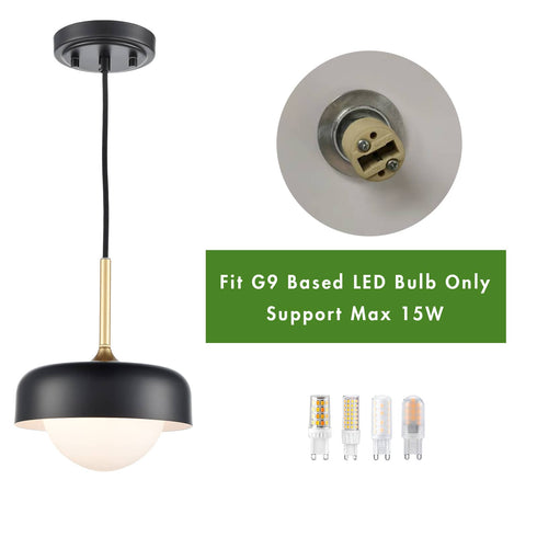 Industrial Modern Black Barn Pendant Light with Glass Shade