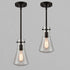 ORB Pendant Light Clear Glass Hanging Ceiling Light Fixture