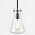 ORB Pendant Light Clear Glass Hanging Ceiling Light Fixture