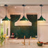 Green Pendant Light Fixture Dome Kitchen Islands Hanging Light