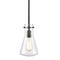 ORB Pendant Light Clear Glass Hanging Ceiling Light Fixture