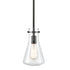 ORB Pendant Light Clear Glass Hanging Ceiling Light Fixture