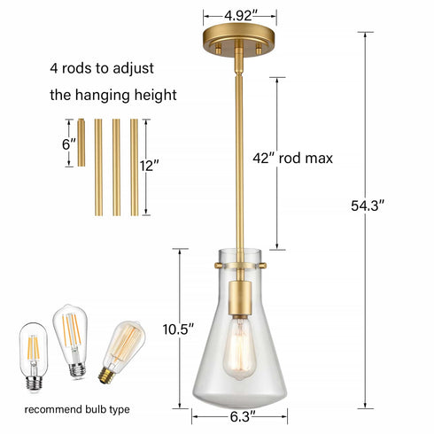Modern Gold Pendant Light with Clear Glass Shade