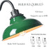 Green Gooseneck Wall Sconces Retro Barn Light