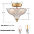 Erice 2-Light Gold Semi-Flush Mount Ceiling Light with Clear Feather Glass Shade