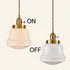 Todi Plug-In Small Adjustable Schoolhouse Milk Glass Pendant Light