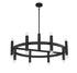 16-Light Chandelier in Matte Black
