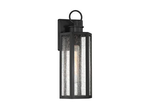 Hawthorne 1-Light Outdoor Wall Lantern in Black