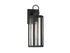 Hawthorne 1-Light Outdoor Wall Lantern in Black