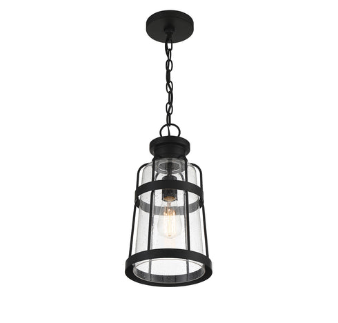 Quinton 1-Light Outdoor Hanging Lantern in Matte Black