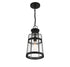 Quinton 1-Light Outdoor Hanging Lantern in Matte Black