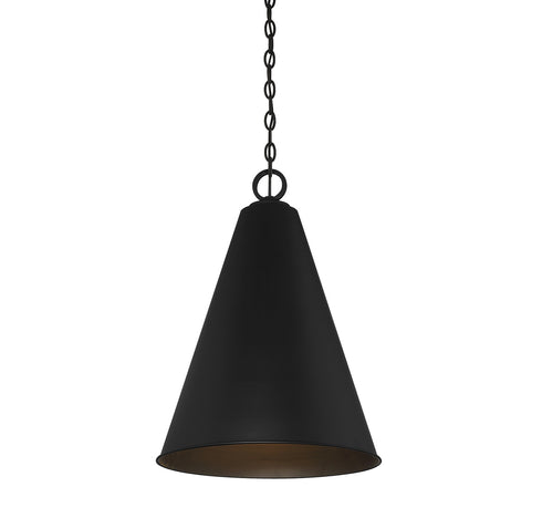 1-Light Pendant in Matte Black
