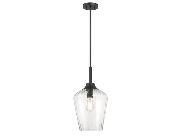 Carlton 1-Light Pendant in Matte Black