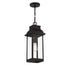 Drexel 1-Light Outdoor Hanging Lantern in English Bronze