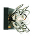 Poppy 2-Light Bathroom Vanity Light in Matte Black with Satin Nickel Accents