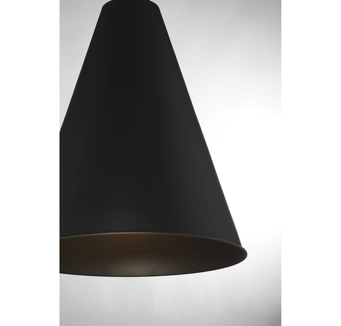 1-Light Pendant in Matte Black