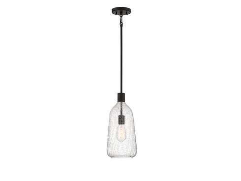 Adair 1-Light Pendant in Polished Nickel