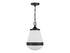 Endura 1-Light Pendant in Satin Nickel