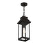 Drexel 1-Light Outdoor Hanging Lantern in English Bronze