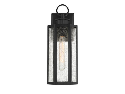 Hawthorne 1-Light Outdoor Wall Lantern in Black