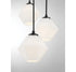 5-Light Chandelier in Matte Black