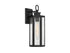 Hawthorne 1-Light Outdoor Wall Lantern in Black