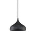 1-Light Plug-In Mini Pendant in Matte Black