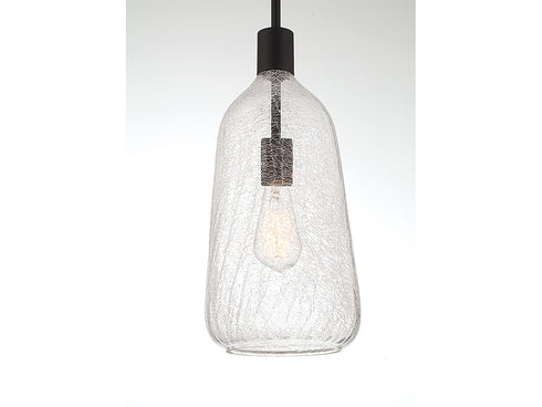 Adair 1-Light Pendant in Polished Nickel