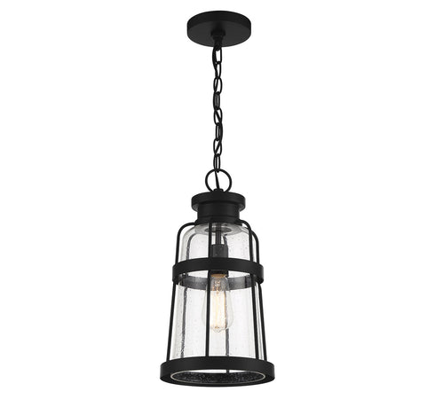 Quinton 1-Light Outdoor Hanging Lantern in Matte Black