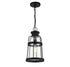 Quinton 1-Light Outdoor Hanging Lantern in Matte Black