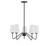 5-Light Chandelier in Matte Black