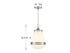 Endura 1-Light Pendant in Satin Nickel