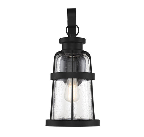 Quinton 1-Light Large Outdoor Wall Lantern in Matte Black