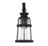Quinton 1-Light Large Outdoor Wall Lantern in Matte Black