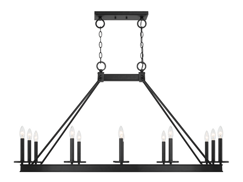 Boylston 12-Light Linear Chandelier in Matte Black