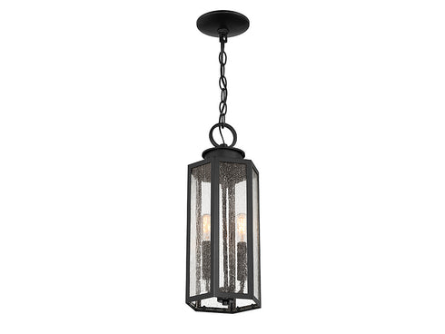 Hawthorne 2-Light Outdoor Hanging Lantern in Black
