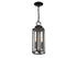 Hawthorne 2-Light Outdoor Hanging Lantern in Black