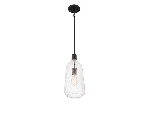 Adair 1-Light Pendant in Polished Nickel