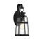 Quinton 1-Light Medium Outdoor Wall Lantern in Matte Black