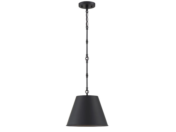 Alden 1-Light Pendant in Matte Black